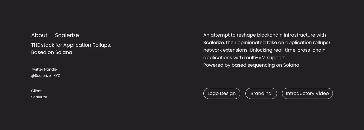 Scalerize Project Image - 2