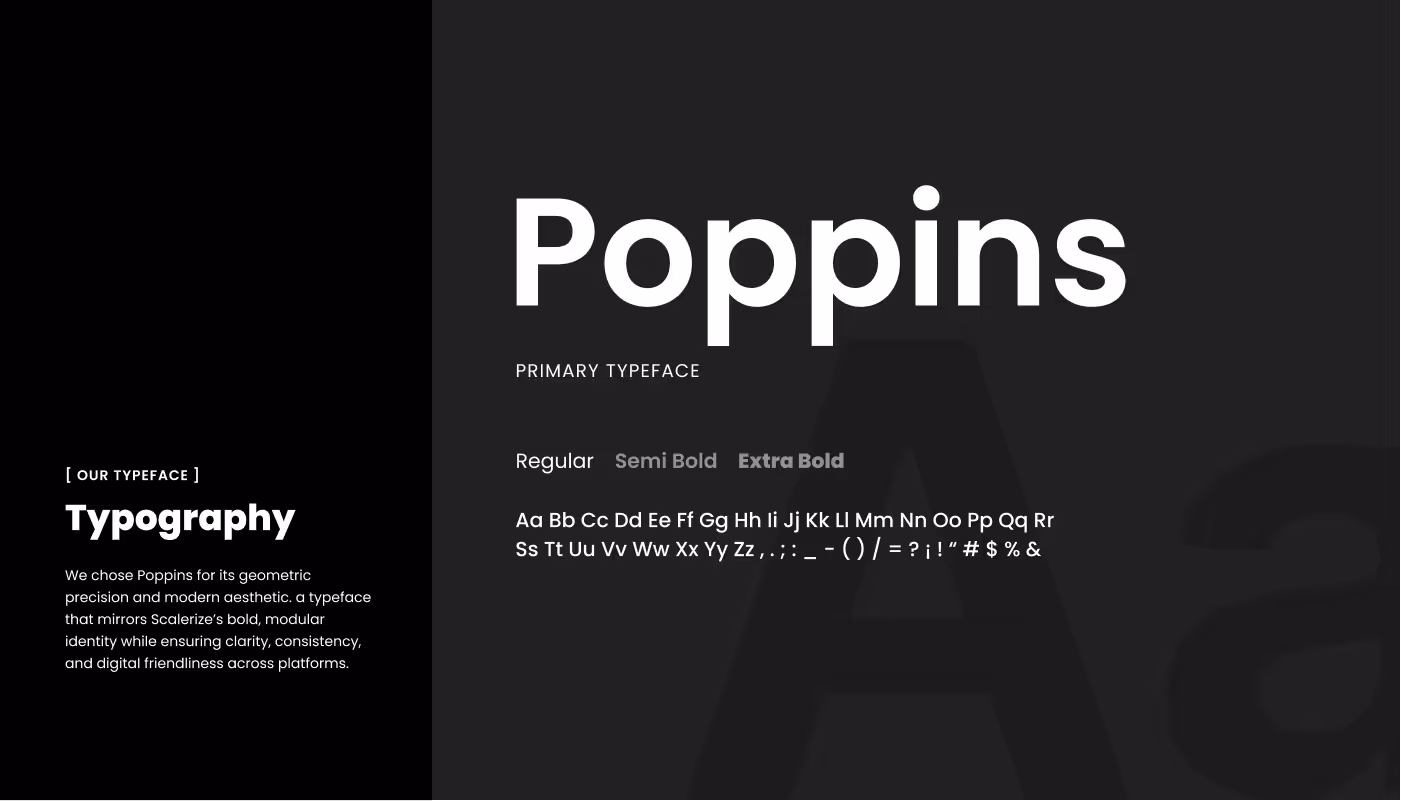 Scalerize Project Image - 4